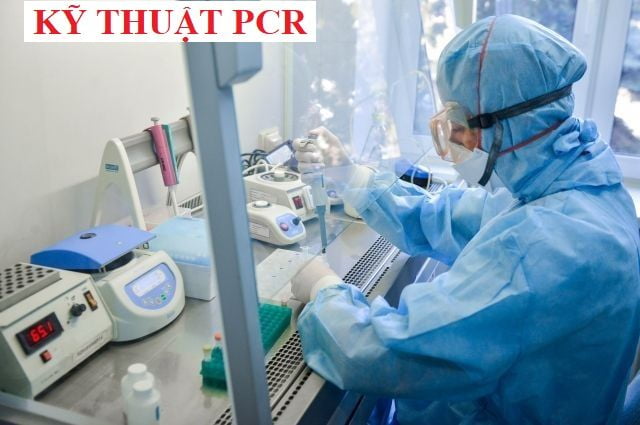 KỸ THUẬT PCR